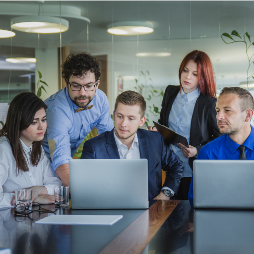 Culture & Experience